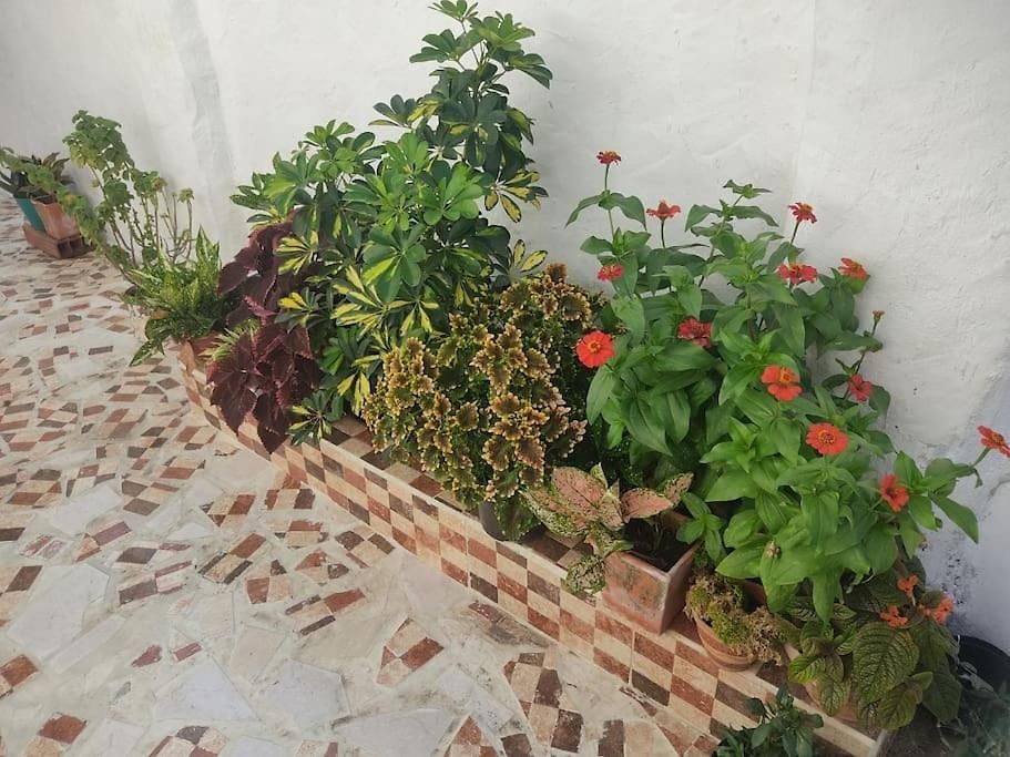 Apartamento Interno, Acogedor, Excelente Ubicacion